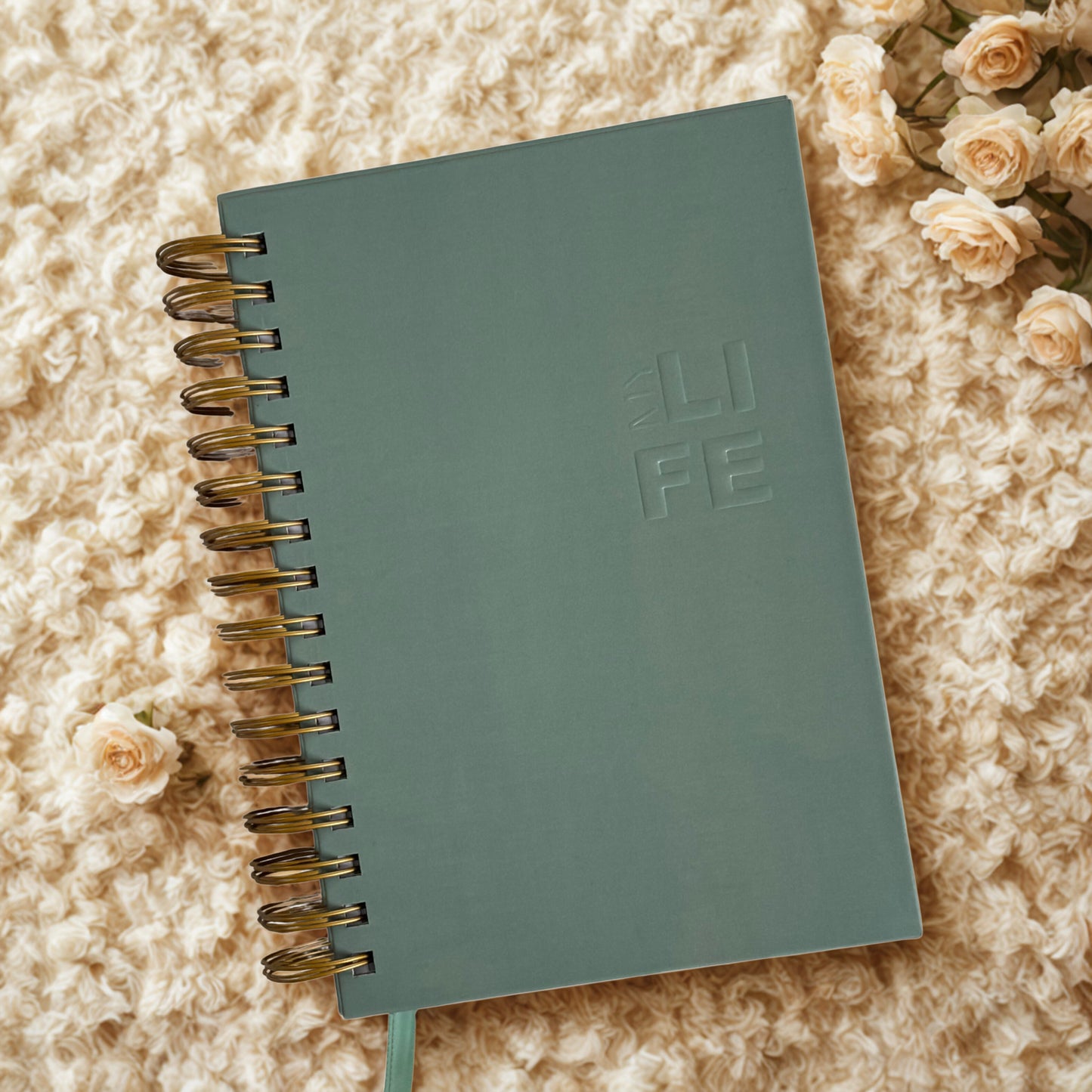 My Life Planner